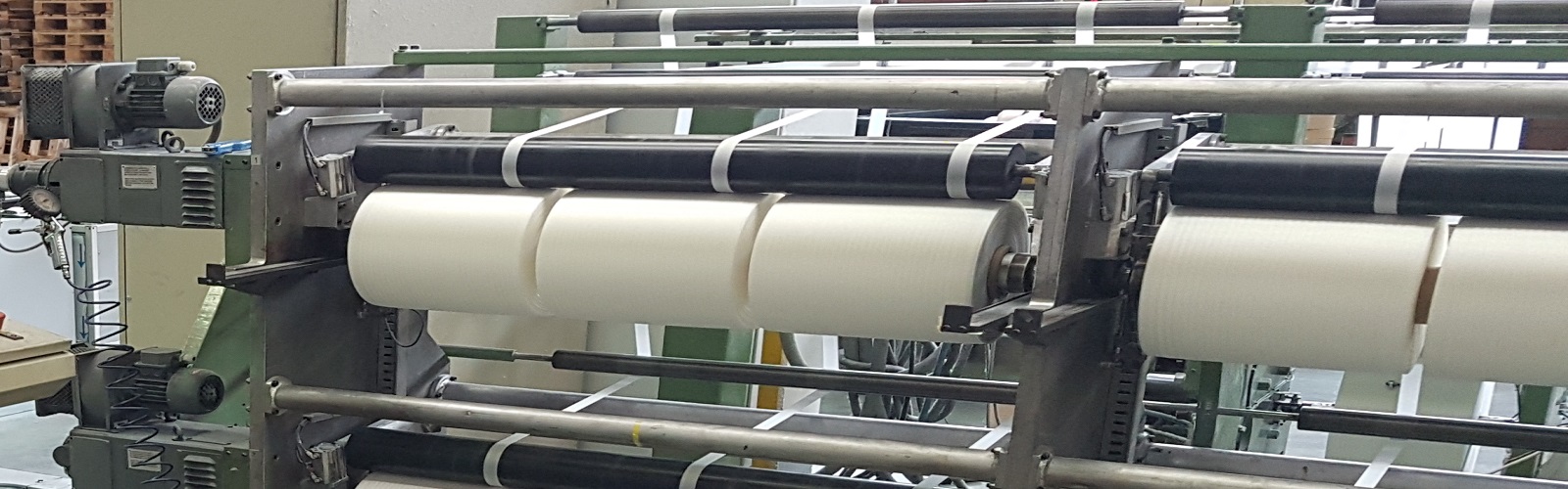 Vegetal industria nastri